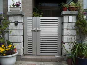 �G�N�X���C��